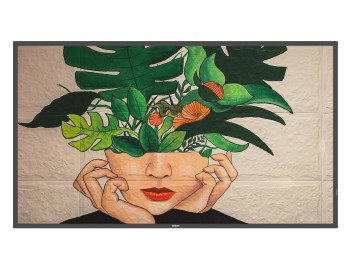 PHILIPS 50BDL4511D 50" UHD 500 NITS 24/7 LAN