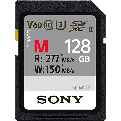 Sony - 128 GB - SDXC - Flash memory class 10