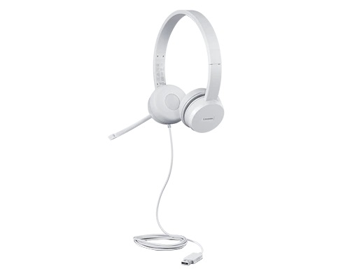 Lenovo - USB Headset - 110 Stereo - Yes - USB Type-A