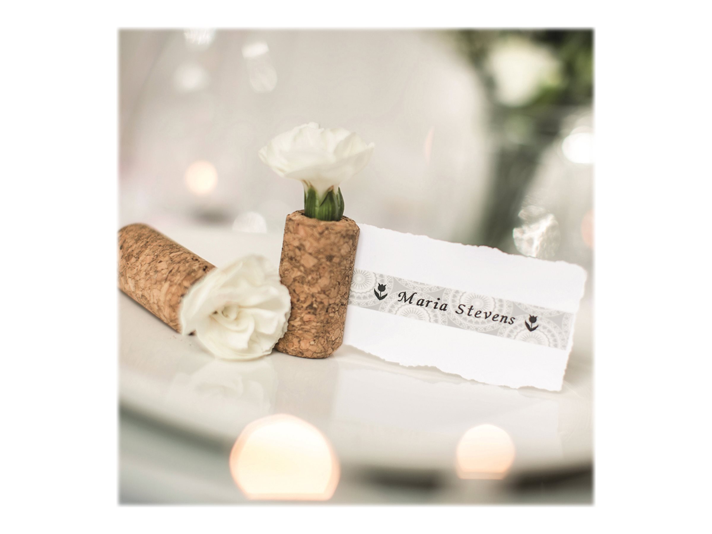 Brother - TZe-MPSL31 - Black on Silver Lace Pattered - TZe