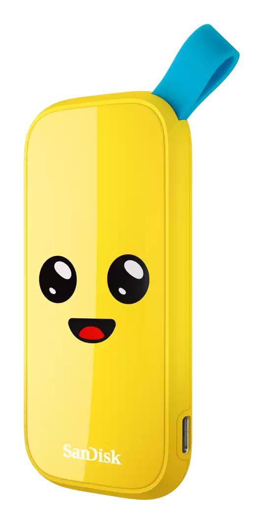 External SSD|SANDISK|1TB|USB 3.2|Read speed 800 MBytes/sec|SDSSDE30-1T00-G25F