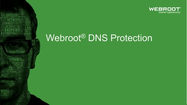Webroot - DNS Protection with GSM Console - 1 year(s) - License quantity 10-99 user(s)