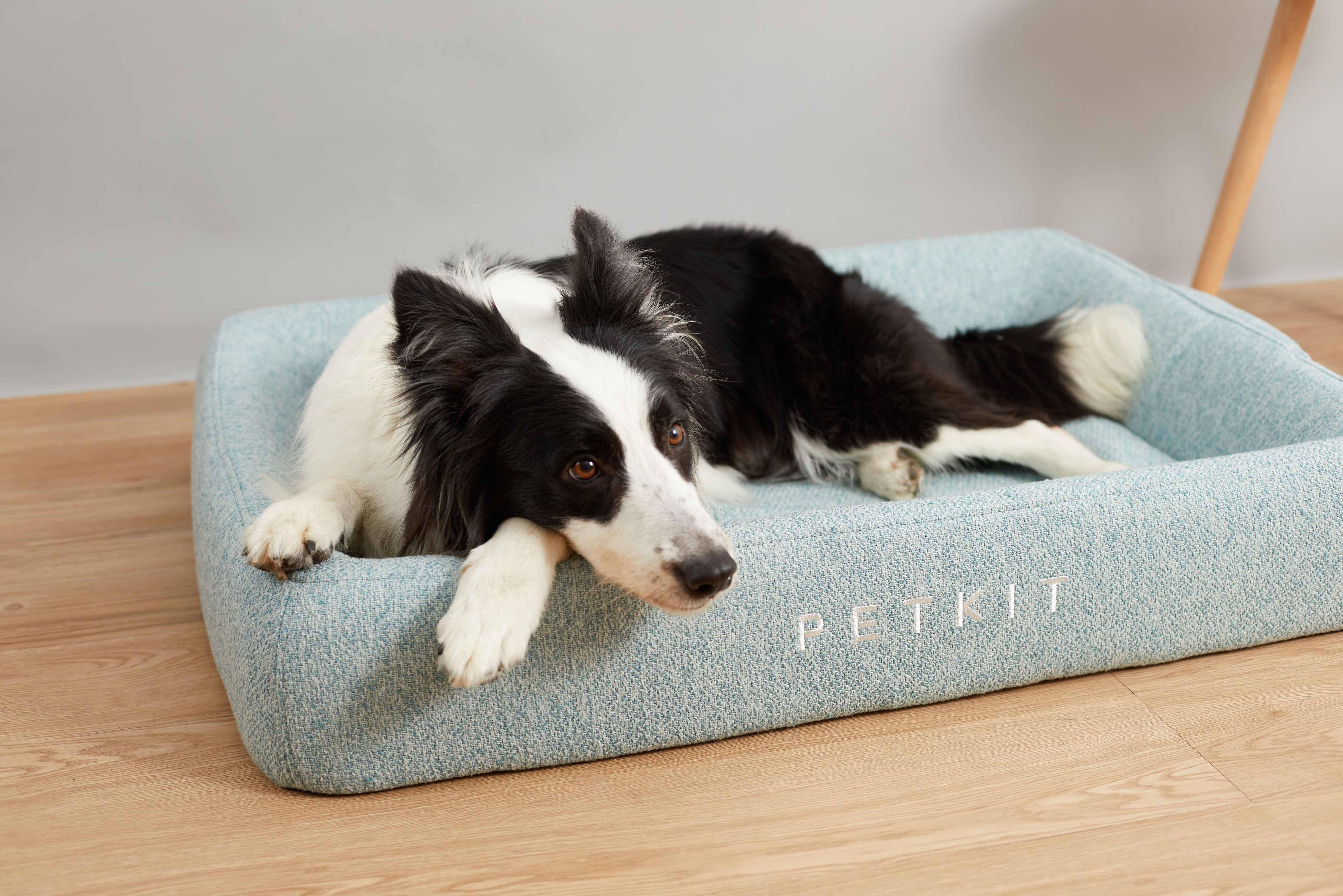 PETKIT - Deep Sleep All Season Pet Bed M - Green