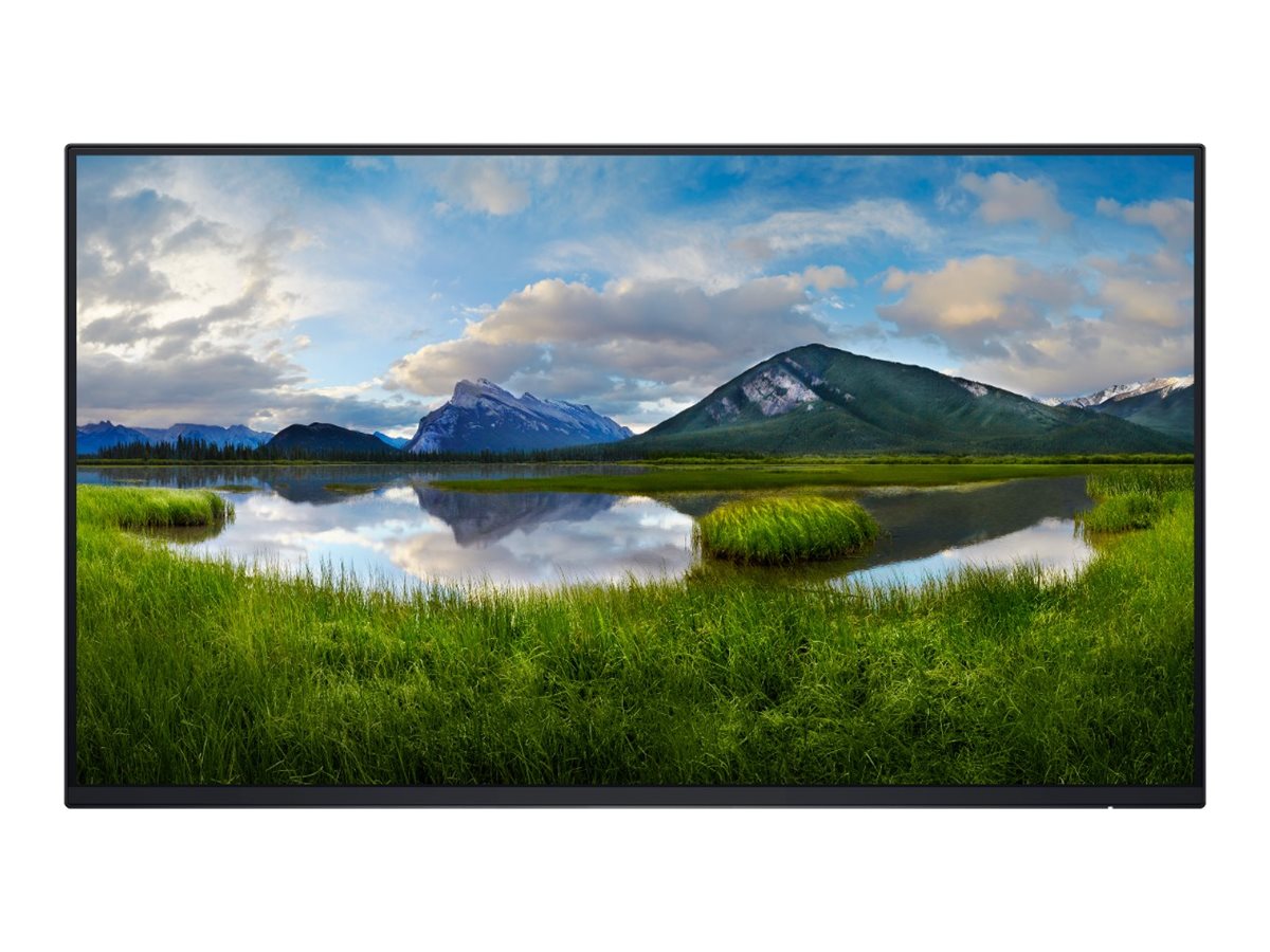 Dell - Monitor Without Stand - P2425H - 24 " - IPS - 16:9 - 100 Hz - 8 ms - 1920 x 1080 pixels - 250 cd/m² - HDMI ports quantity 1 - Black - Warranty 36 month(s)