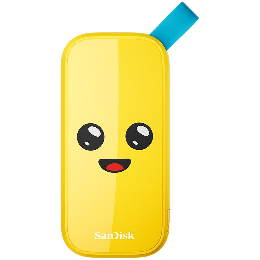 External SSD|SANDISK|2TB|USB 3.2|Read speed 800 MBytes/sec|SDSSDE30-2T00-G25F