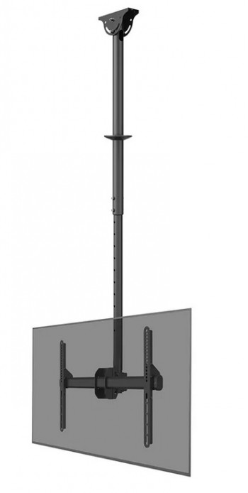 Neomounts CL35-440BL16L Monitor/TV Mount Ceiling - Adjustable Height, Rotate, Tilt, Swivel - 37-70 " - Maximum weight (capacity) 50 kg - Black