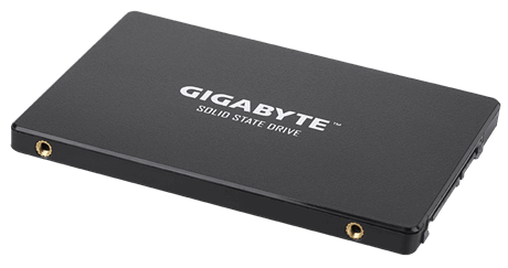 Gigabyte - GP-GSTFS31256GTND - 256 GB - Solid-state drive interface SATA - Read speed 520 MB/s - Write speed 500 MB/s