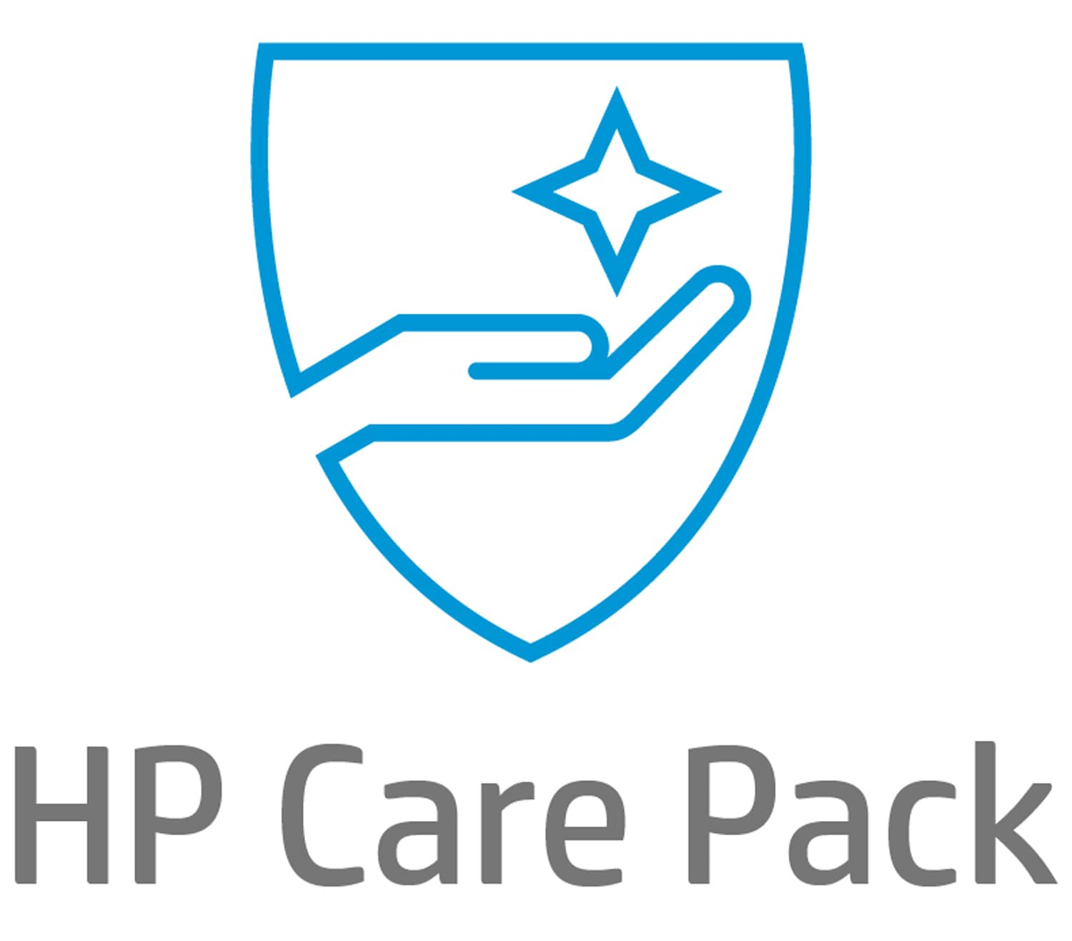HP 4 years Next Business Day Onsite Display Warranty Extension for E22 P22 G4 G5 E23 E24i E27q P22h P24q P27h Z23n Z24u Z27k G3 with 1 year