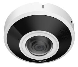 NET CAMERA 6MP FISHEYE DOME/IPC-EBW5641-AS DAHUA