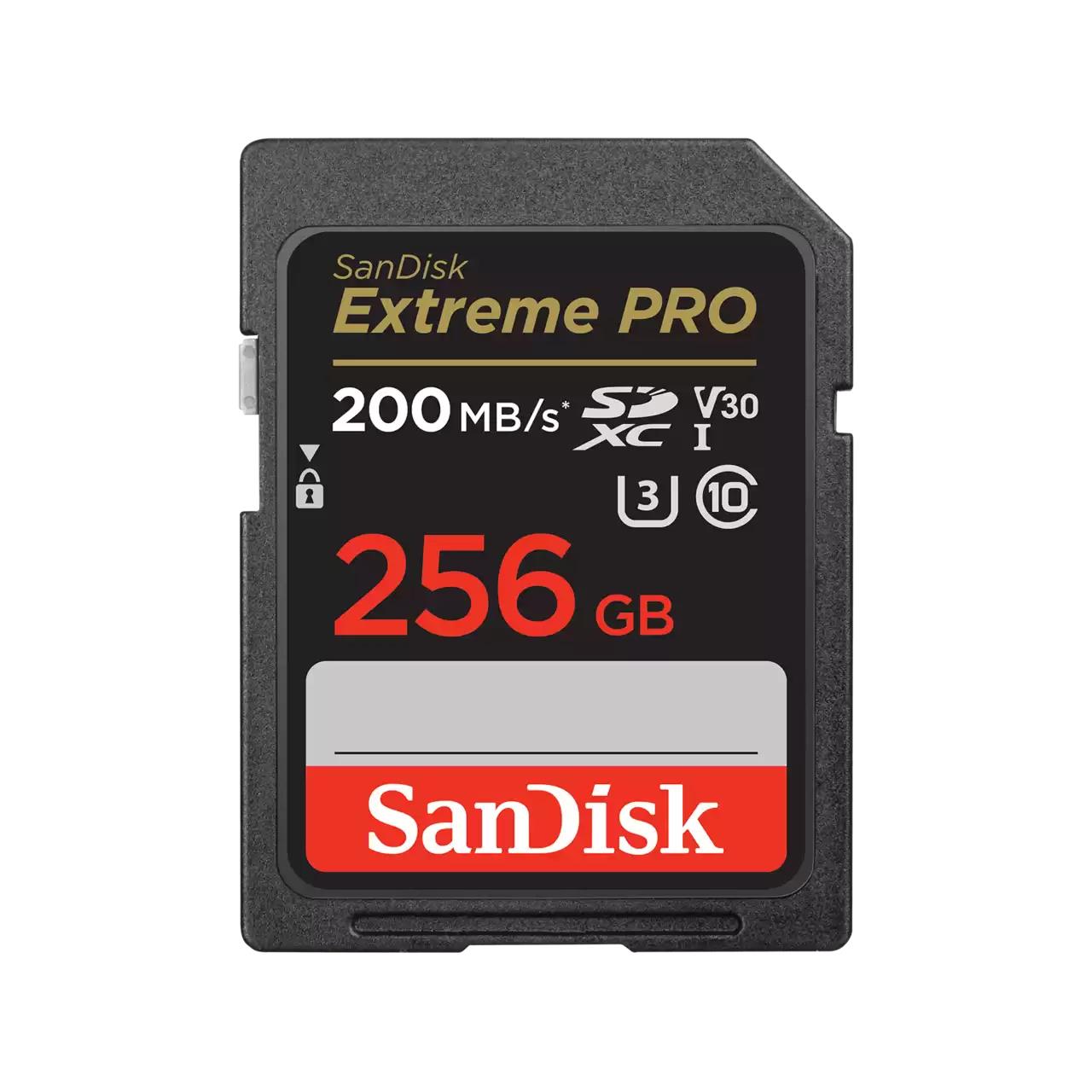 MEMORY SDXC 256GB UHS-1/SDSDXXD-256G-GN4IN SANDISK