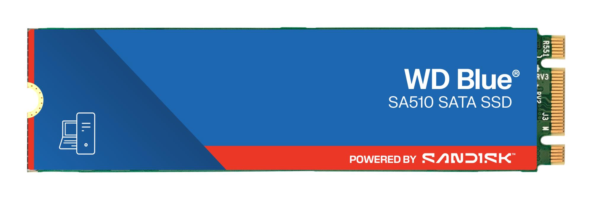 SSD|SANDISK|400xTBW rating|MTBF 1750000 h|Read speed 560 MB/s|Write speed 520 MB/s|Serial ATA III|M.2|1000 GB|POWERED BY SANDISK|Blue SA510|WDS100T3B0B